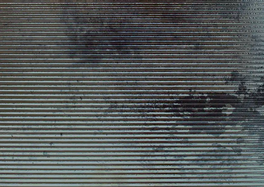 Panel