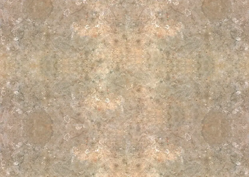 Panel